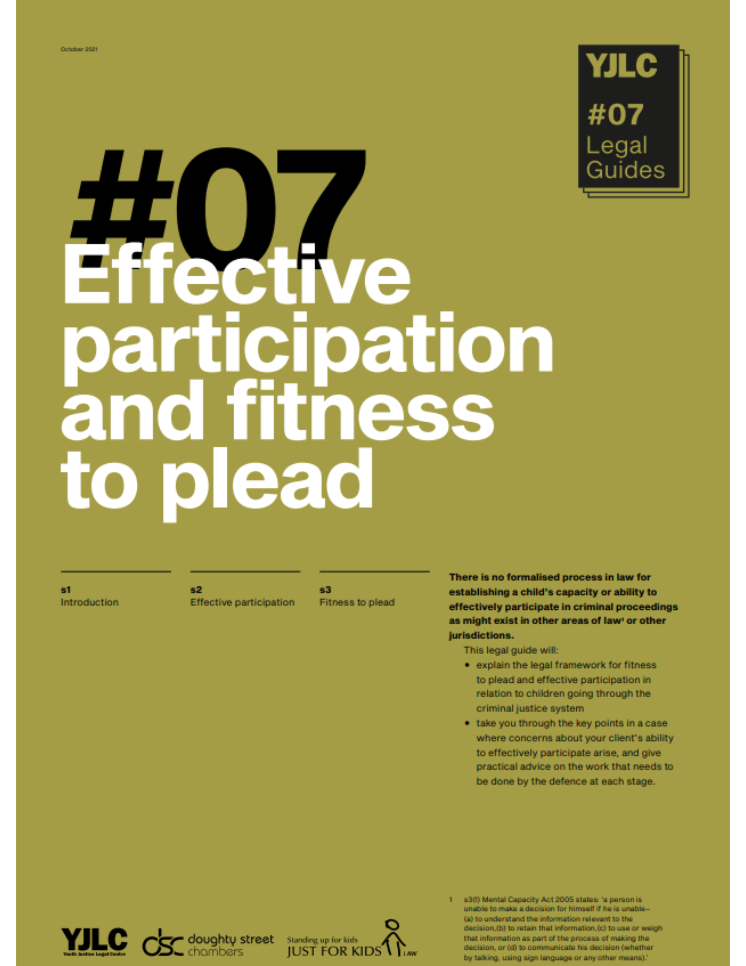 YJLC Legal Guide - Effective participation and fitness to plead